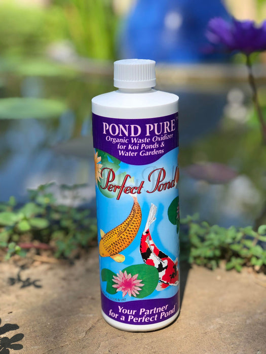Perfect Pond - Pond Pure