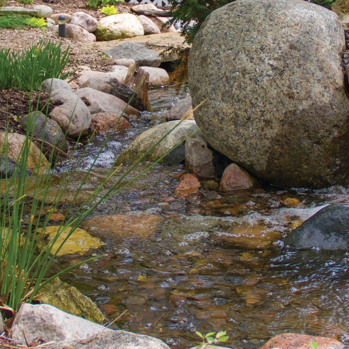 Aquascape Pond