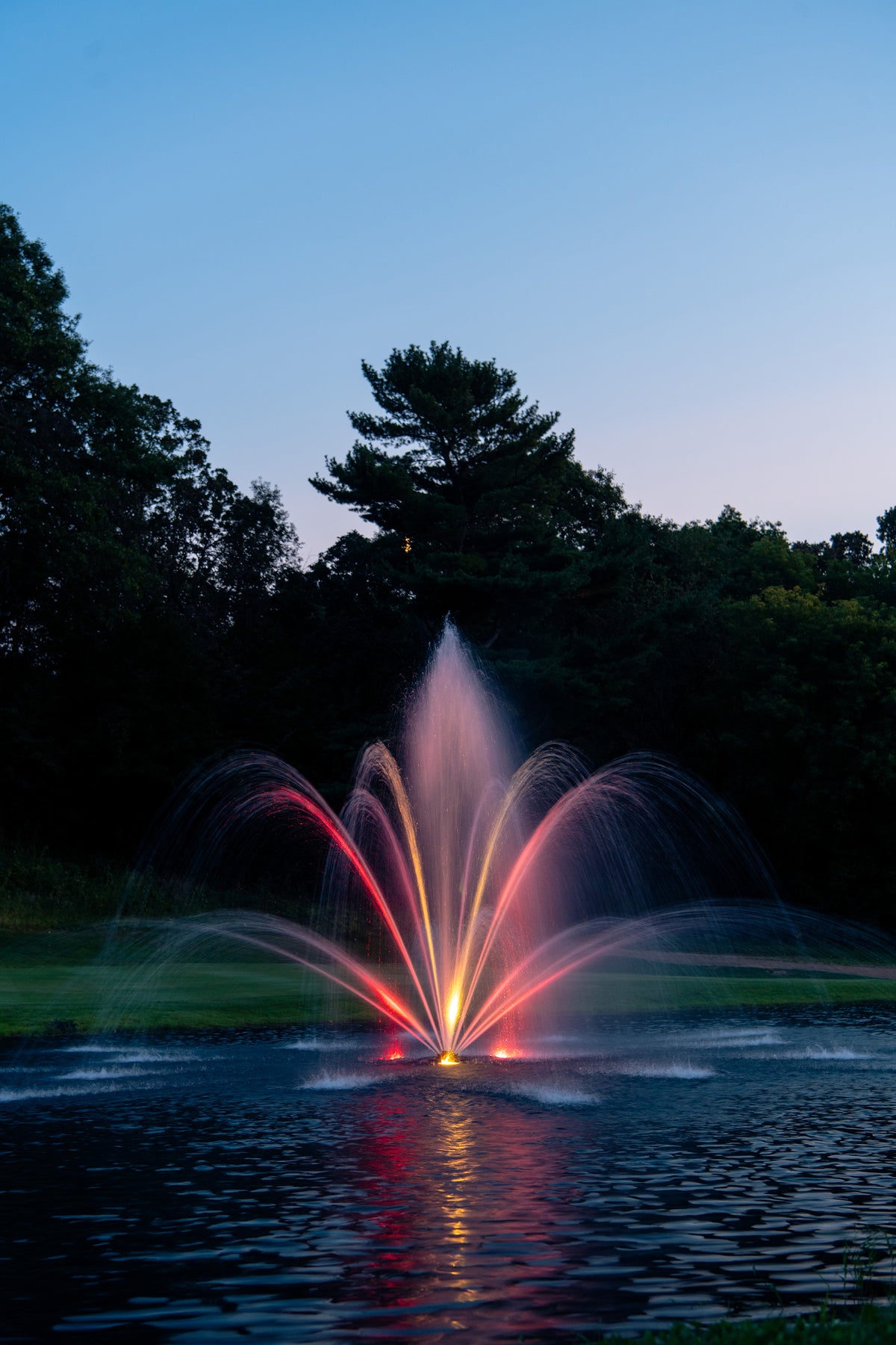 Foster and smith pond supplies deals