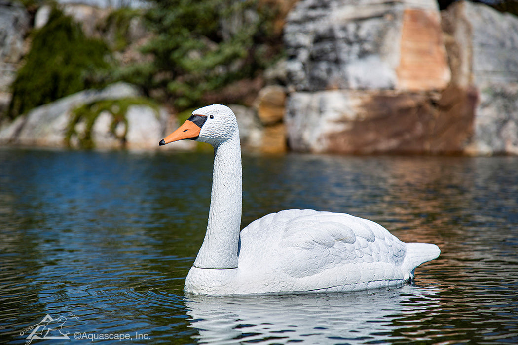 Aquascape - Floating Swan Decoy