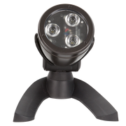 84059_FRNT_300DPI_4W-SPOTLIGHT