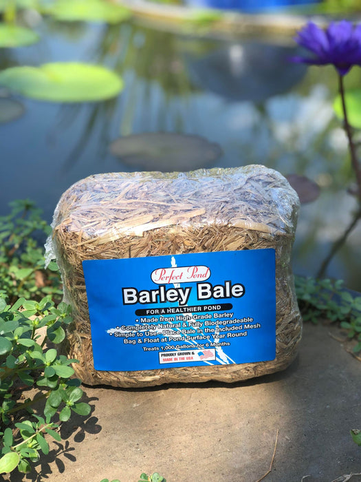 Perfect Pond - Barley Bale - 12 Oz Treats 1,000 Gallons