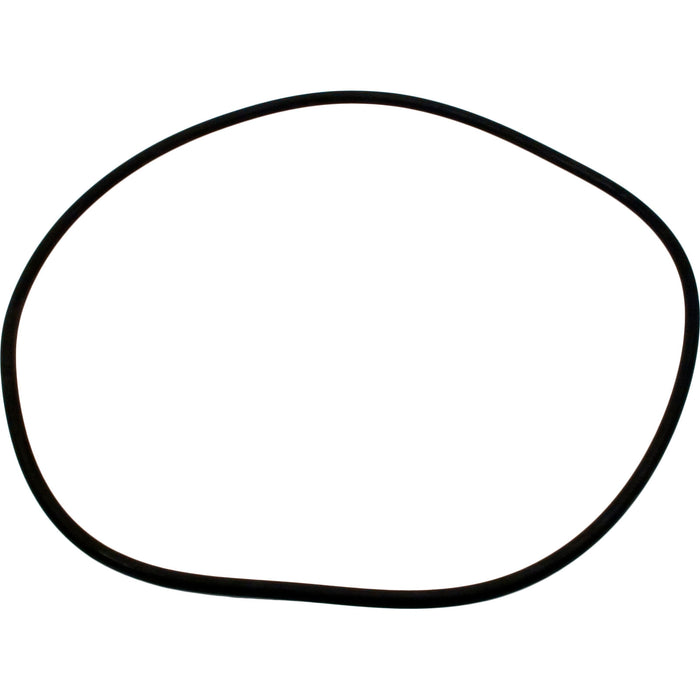 Swimquip/StaRite or Jacuzzi O-Ring