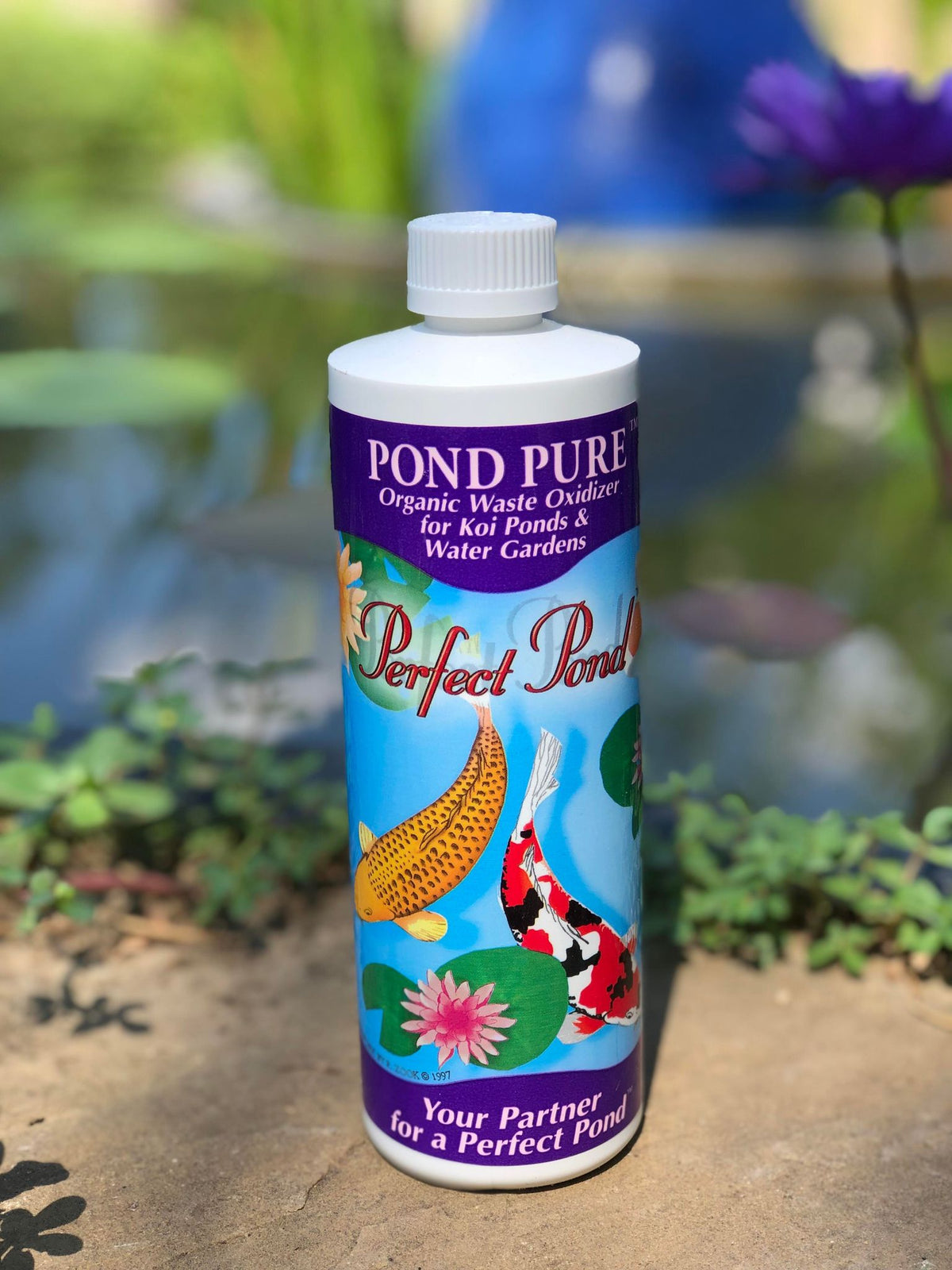 Perfect Pond Pond Pure — Dickson Brothers