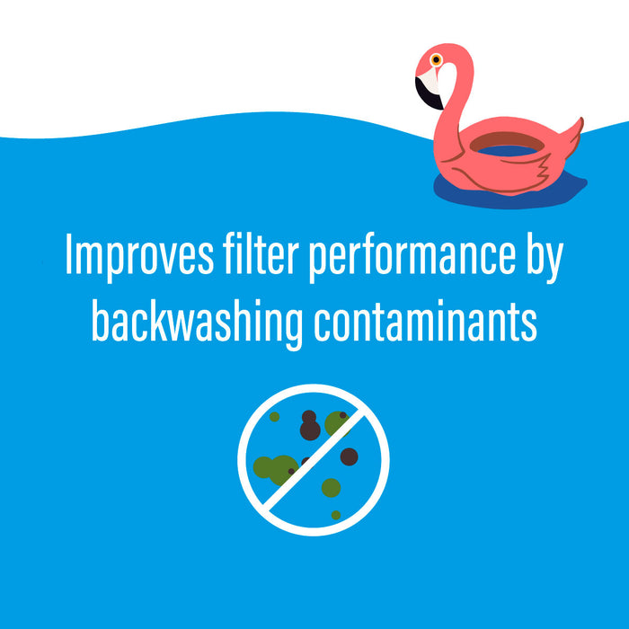 Poolife Backwash Filter Cleaner - 32 Oz